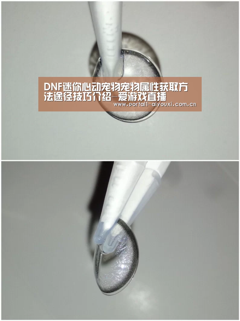 DNF迷你心动宠物宠物属性获取方法途径技巧介绍-爱游戏直播(图1) 爱游戏直播