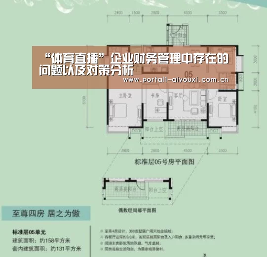“体育直播”企业财务管理中存在的问题以及对策分析(图1) 爱游戏平台